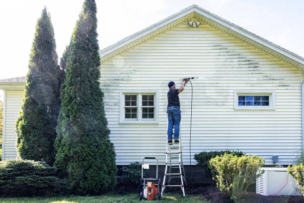 Best Roof Cleaning and Mildew Removal in Mexico, IN